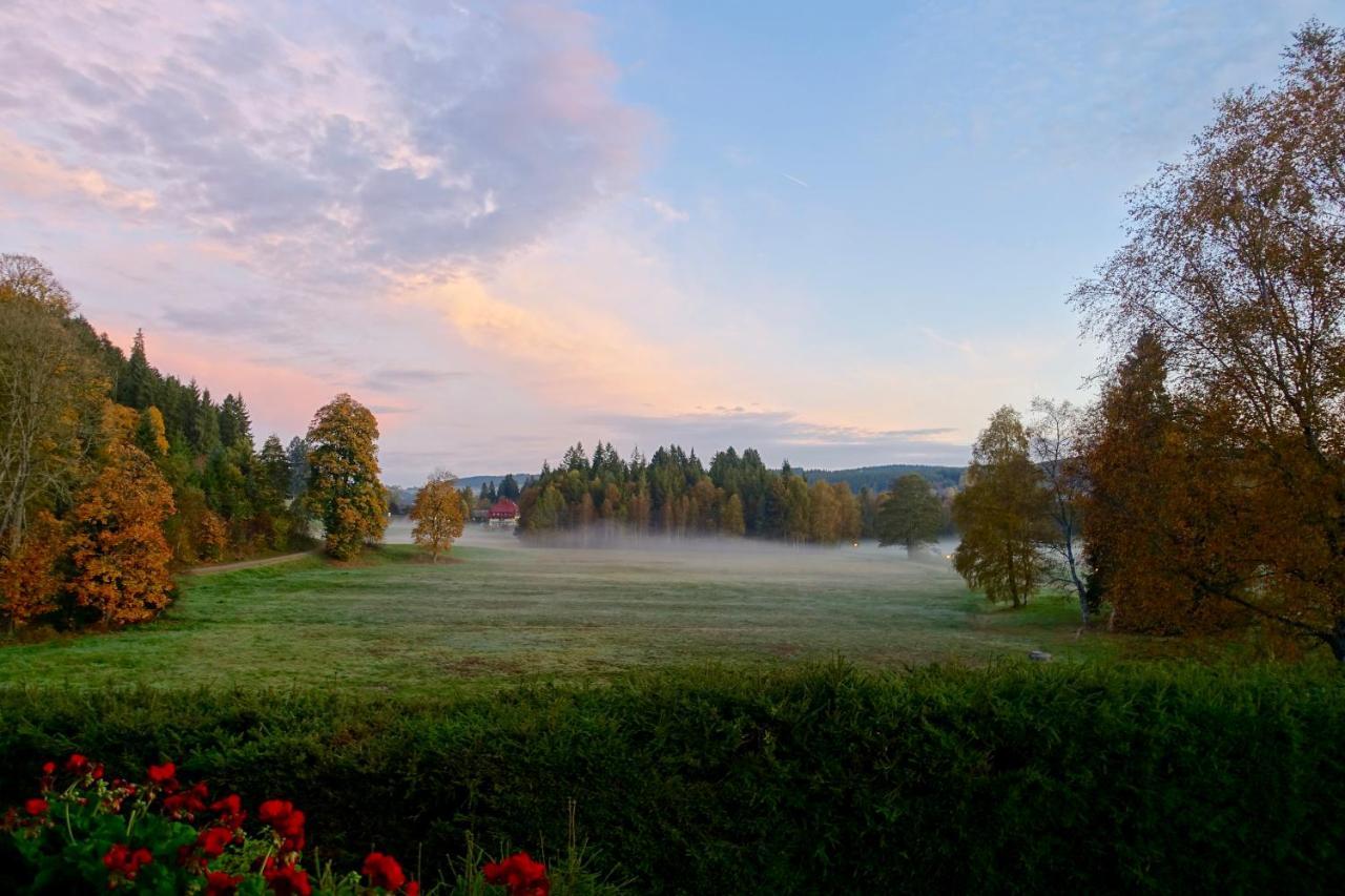 Hollhouse - Bed & Breakfast Гінтерцартен Екстер'єр фото