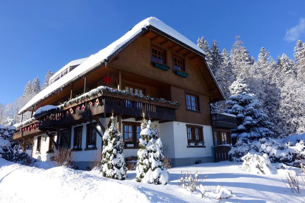Hollhouse - Bed & Breakfast Гінтерцартен Екстер'єр фото